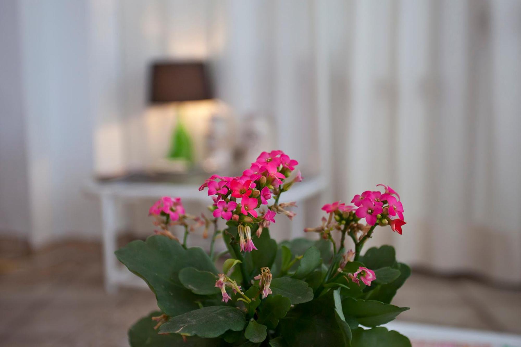 Galaxia Boutique Hotel Can Picafort  Luaran gambar